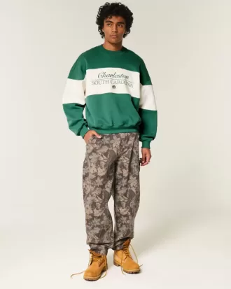 Hanorac Baggy Cinch Charleston Graphic Crew