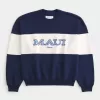 Hanorac Baggy Cinch Maui Graphic Crew