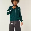 Pantaloni scurți largi din denim Tiger Graphic Pantaloni scurți largi din denim Tiger Graphic