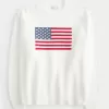Pulover Hollister Comfy Cloud American Flag Graphic Crew Pulover Hollister Comfy Cloud American Flag Graphic Crew