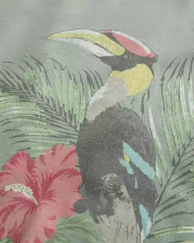 Rezervor grafic Easy Trend Drop pentru păsări tropicale