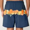 Trunchi de baie pentru volei la mijlocul coapsei Trunchi de baie pentru volei la mijlocul coapsei